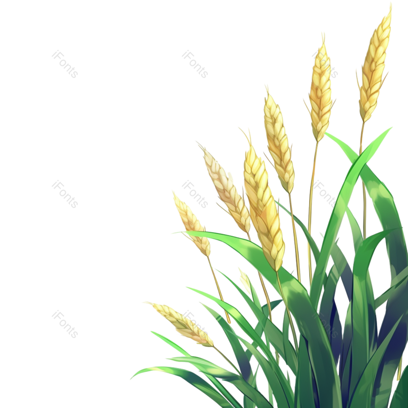 卡通图片,麦子元素,绿色PNG,手绘免抠素材